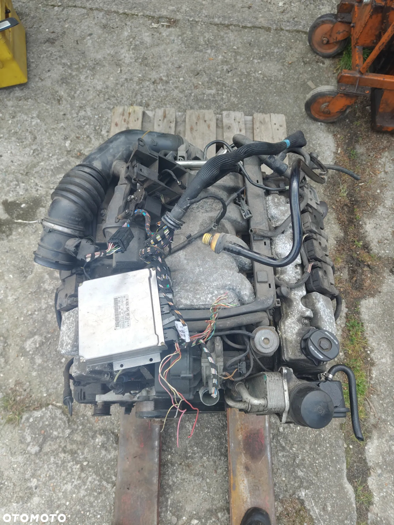SILNIK KOMPLETNY SWAP Mercedes 5.5 AMG 113981 M113 Ml w163 w220 - 6