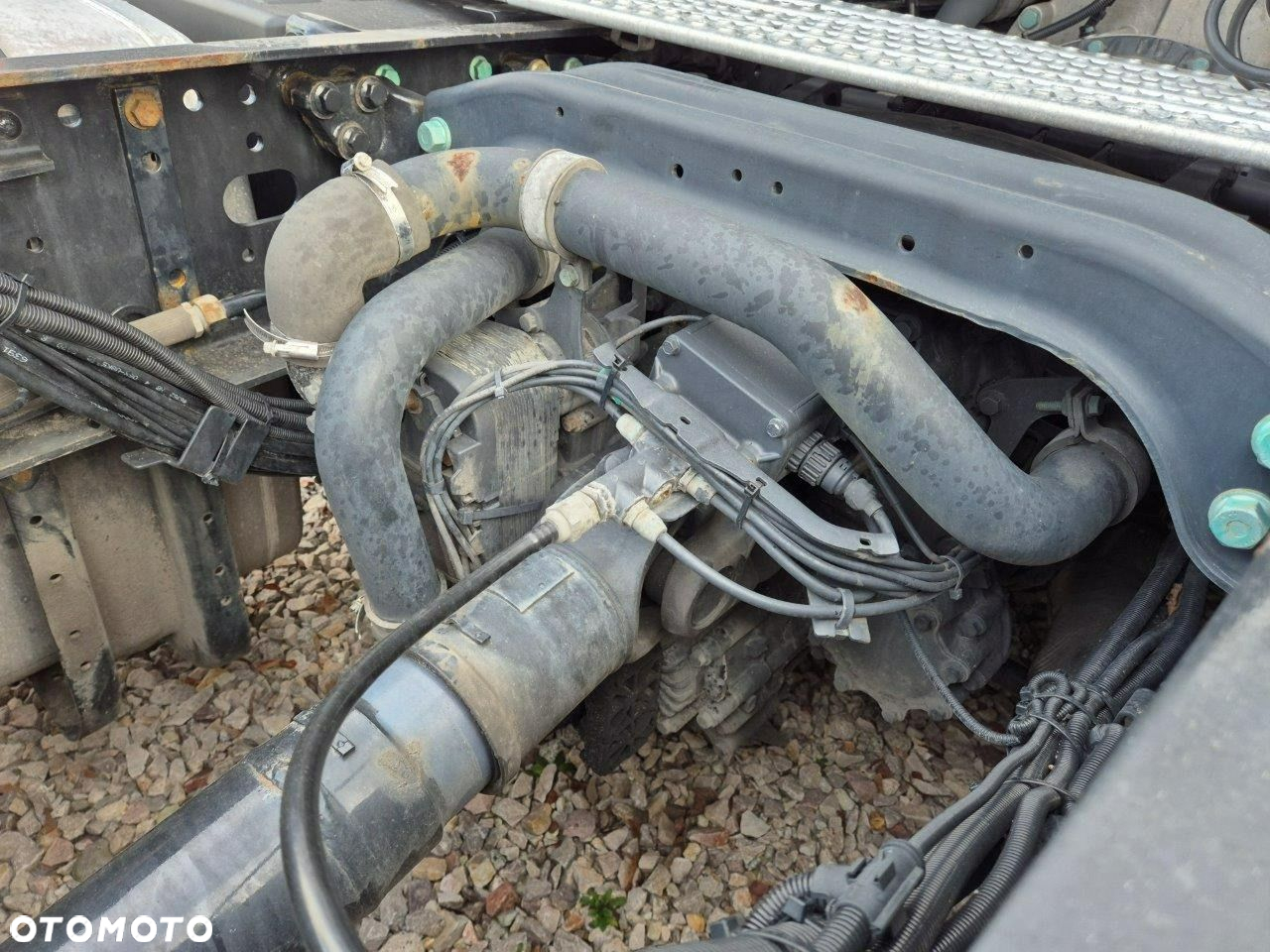 MAN Tgx - 15