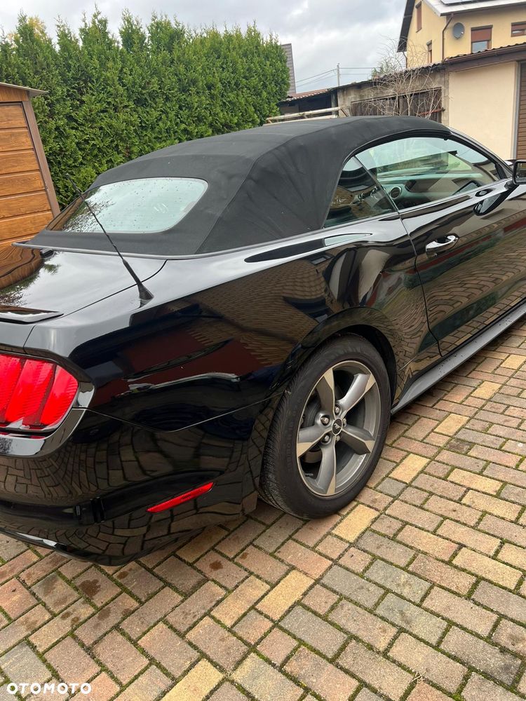 Ford Mustang 5.0 Ti-VCT V8 Black Shadow Edition - 11