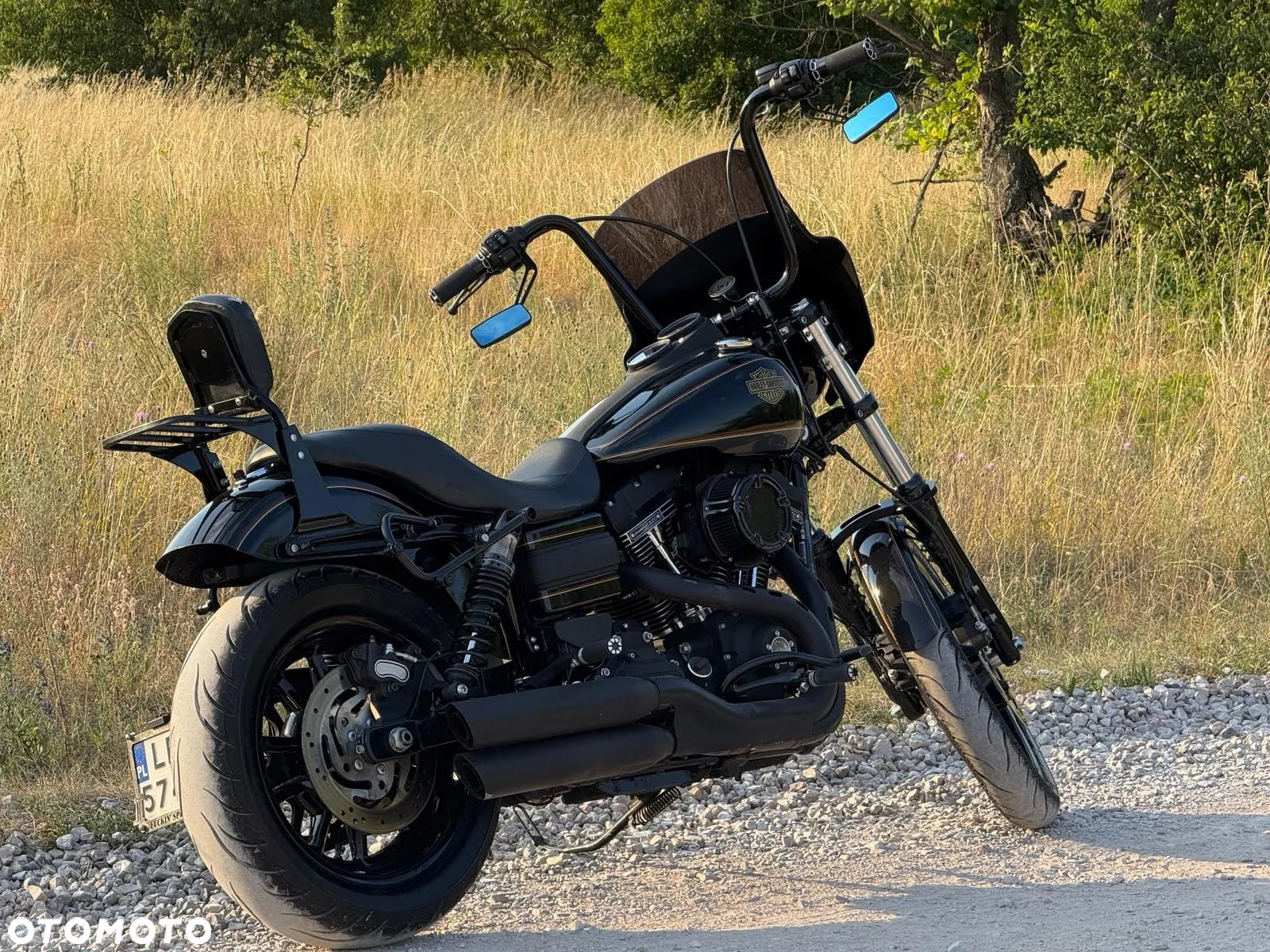 Harley-Davidson Dyna Low Rider - 2