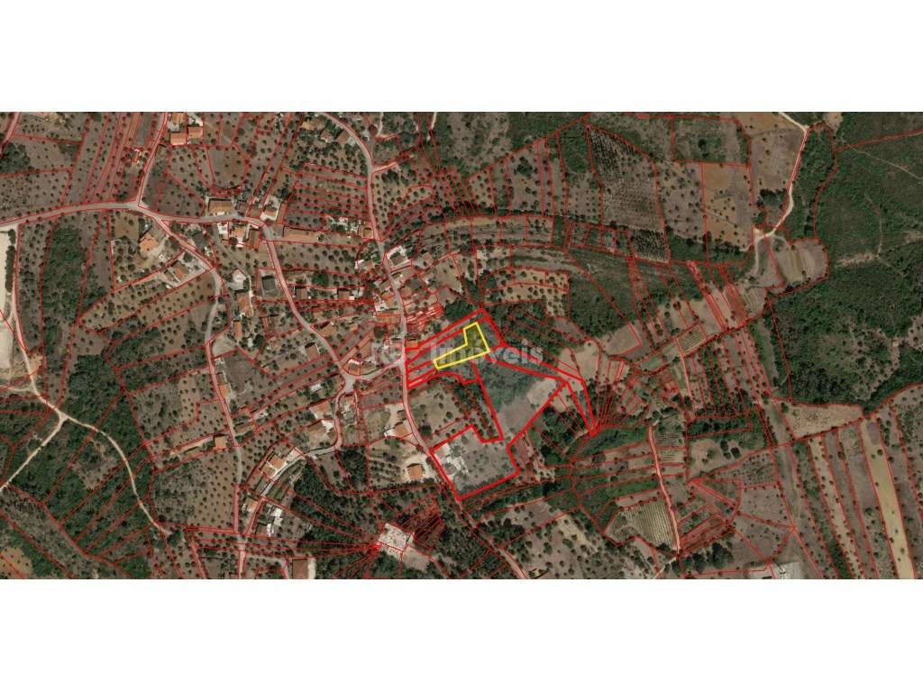Lote de 6 terrenos rústicos na freguesia de Sabacheira, Tomar - Grande imagem: 3/7