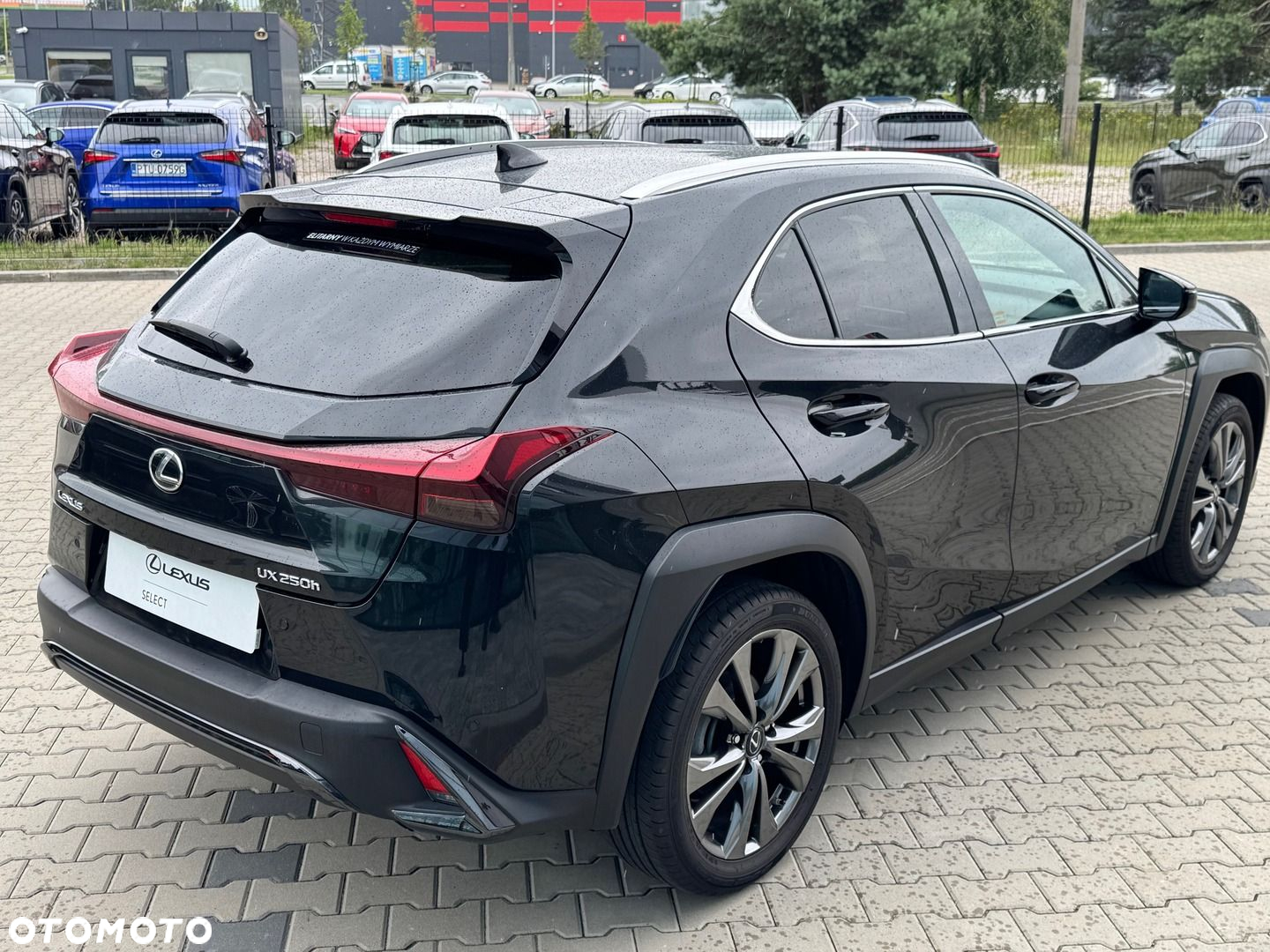 Lexus UX 250h GPF F Sport Design 2WD - 6