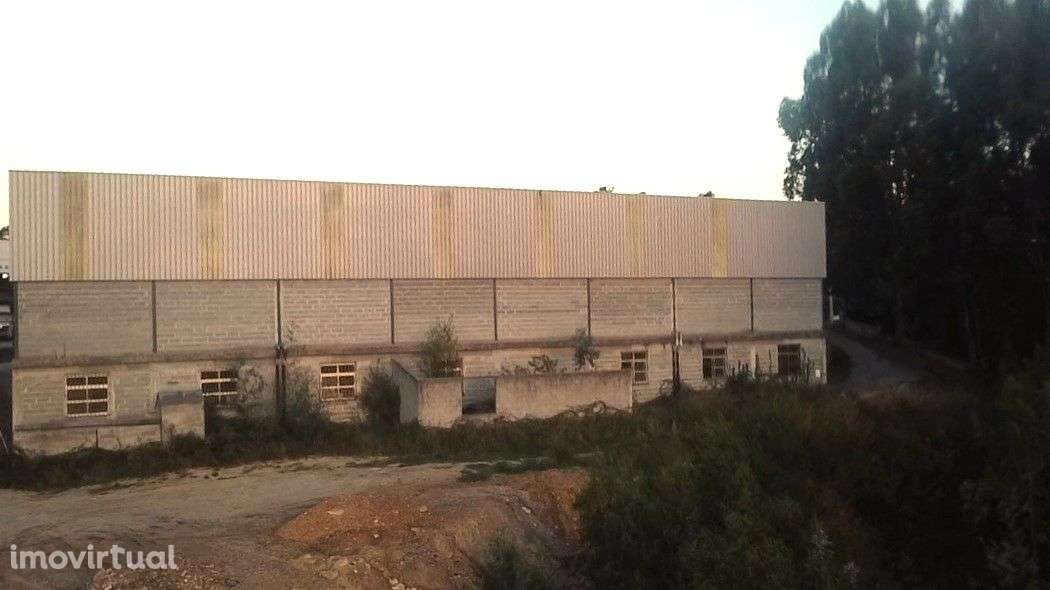 Pavilhão – Sever do Vouga - Grande imagem: 2/36