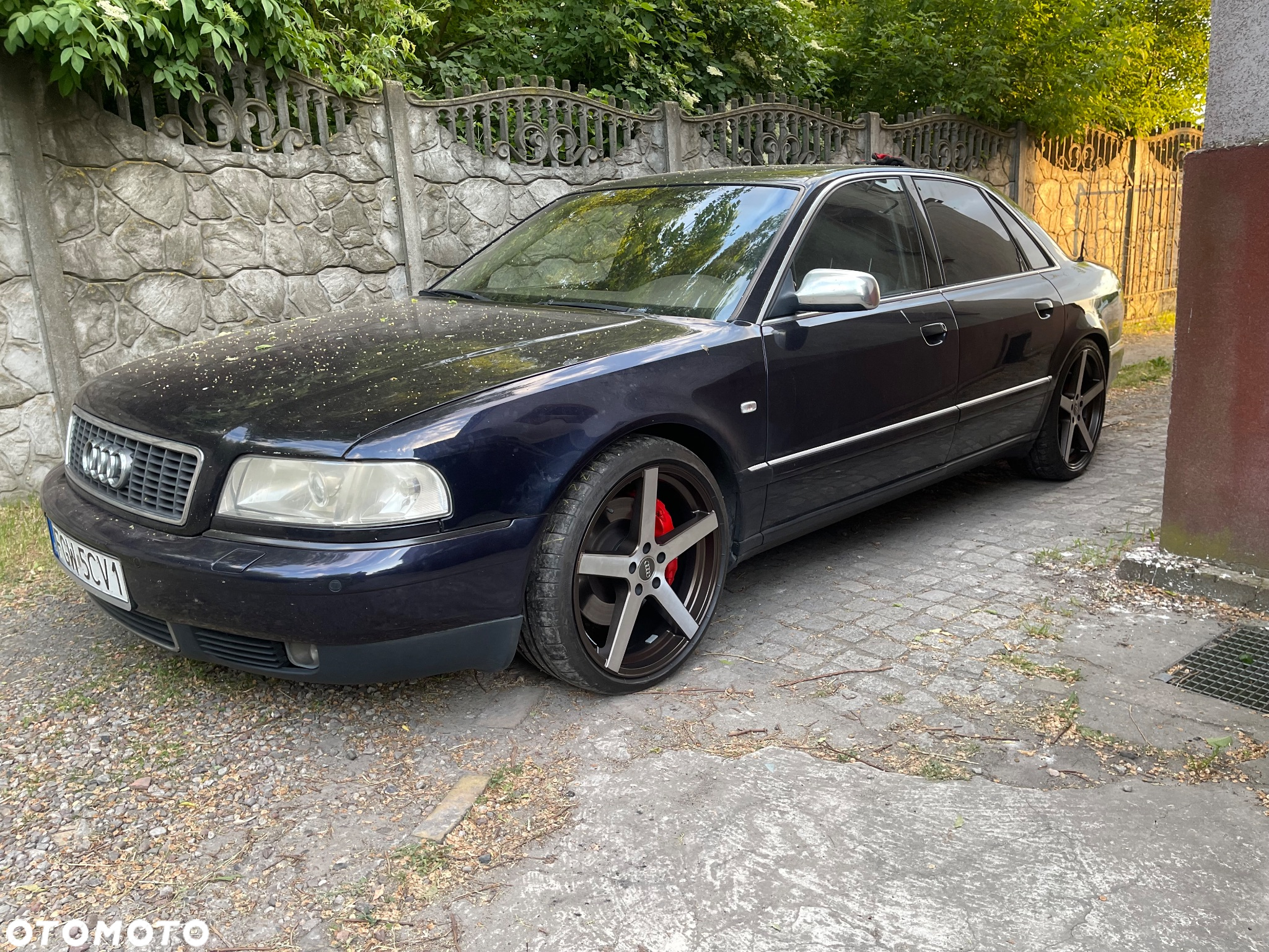 Audi Quattro - 26