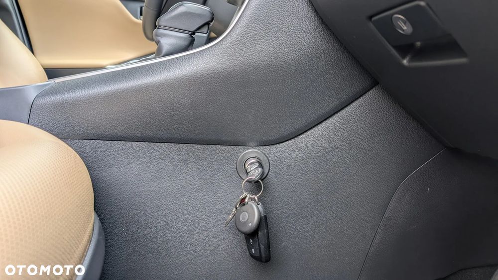 Toyota RAV4 2.5 Hybrid Executive 4x4 - 8