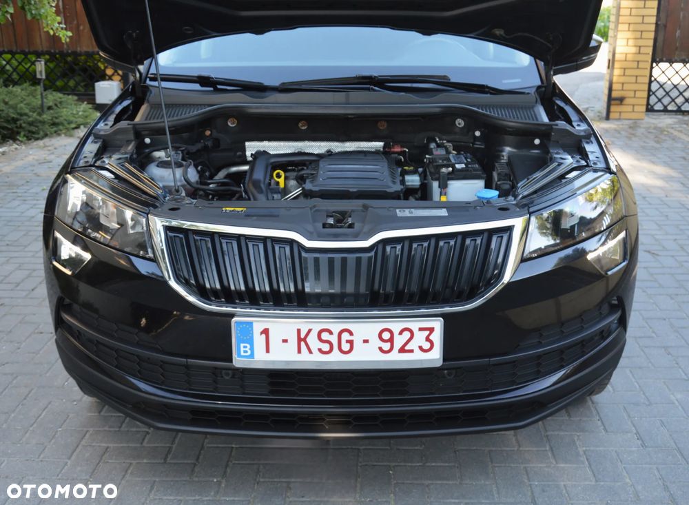 Skoda Karoq - 13