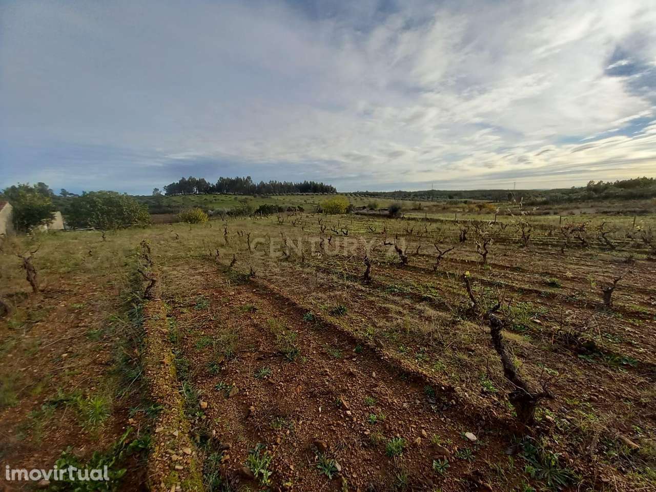 Quinta na localidade do Ninho do Açor - Grande imagem: 5/23