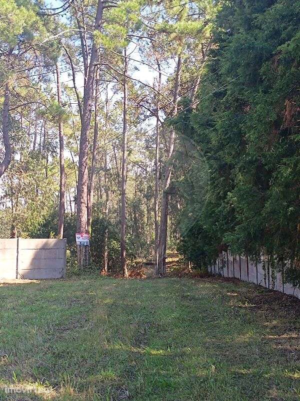 Terreno  para venda - Grande imagem: 3/17