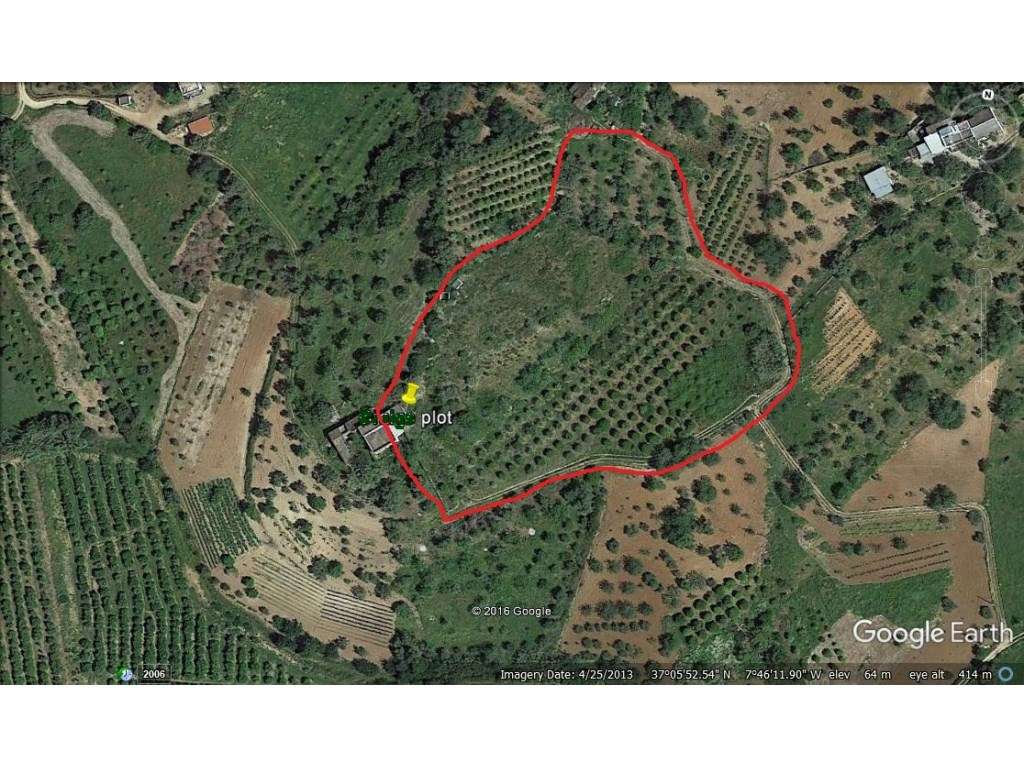 Terreno Rústico com armazém com 36 m2 em Moncarapacho, Olhão, Algarve - Grande imagem: 3/28