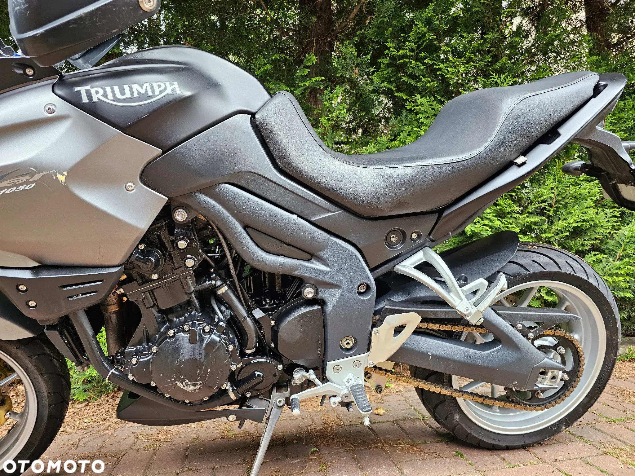 Triumph Tiger - 18
