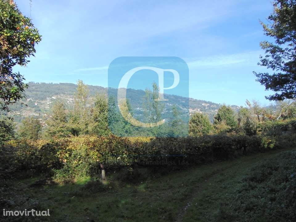 Propriedade em Cinfães do Douro para restauro, Viseu - Grande imagem: 5/17