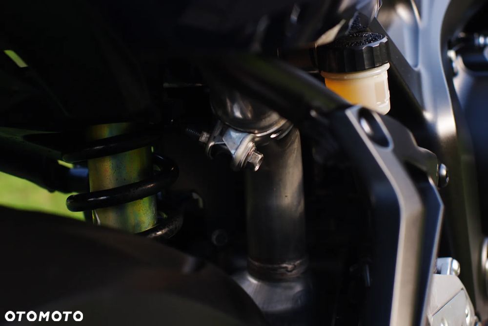 Yamaha FZ6 - 24