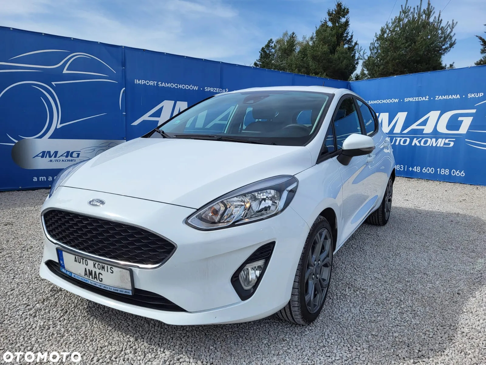 Ford Fiesta 1.0 EcoBoost S&S ACTIVE COLOURLINE - 2