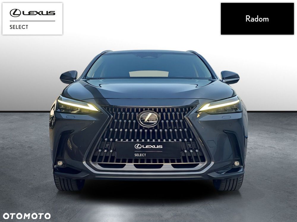 Lexus Nx 2024 photo 2