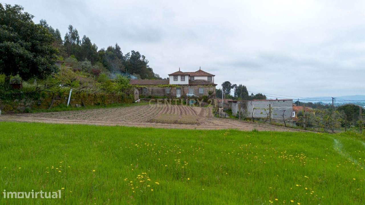 Quinta no Douro com potencial real de valorização e exploração turísti - Grande imagem: 2/60