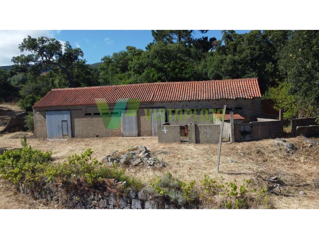 Terreno Misto em Monchique, Com Armazém e Casa Para Restaurar - Grande imagem: 3/25