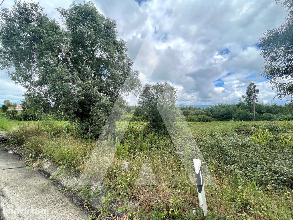 Terreno com projeto aprovado para pavilhão em Albergaria-a-Velha! - Grande imagem: 5/13