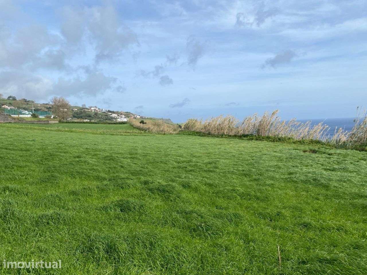 Terreno com vista ao norte de São Miguel, nas Figueiras - Grande imagem: 3/9
