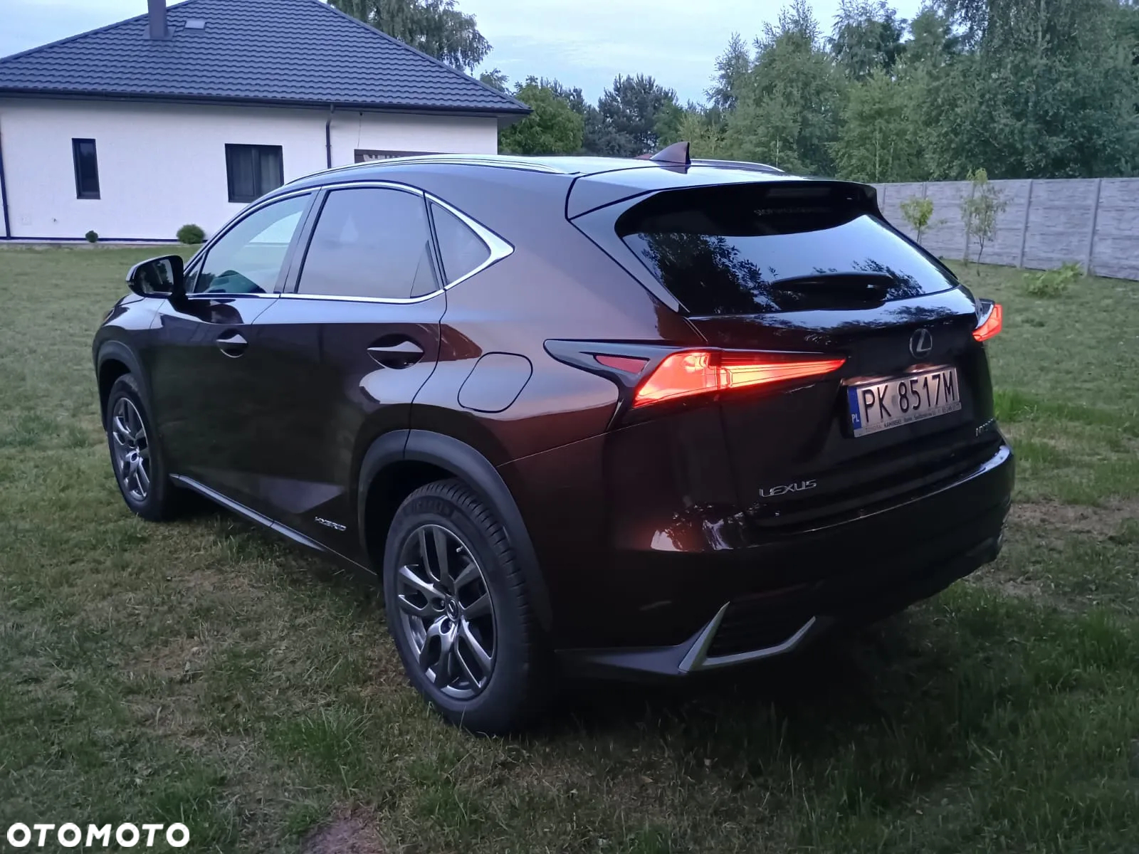 Lexus NX 300h Elegance AWD - 20