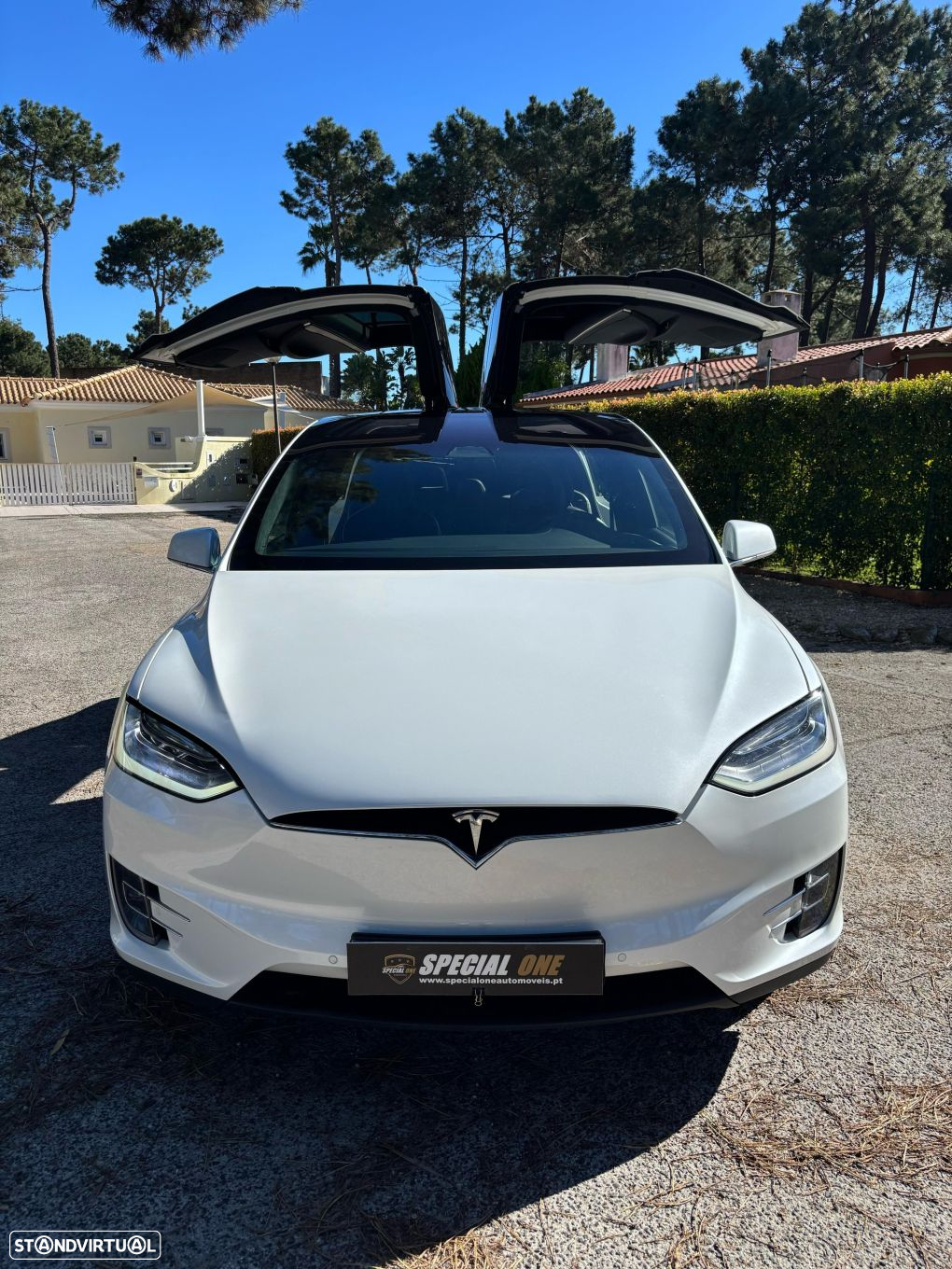 Tesla Model X 100D - 2