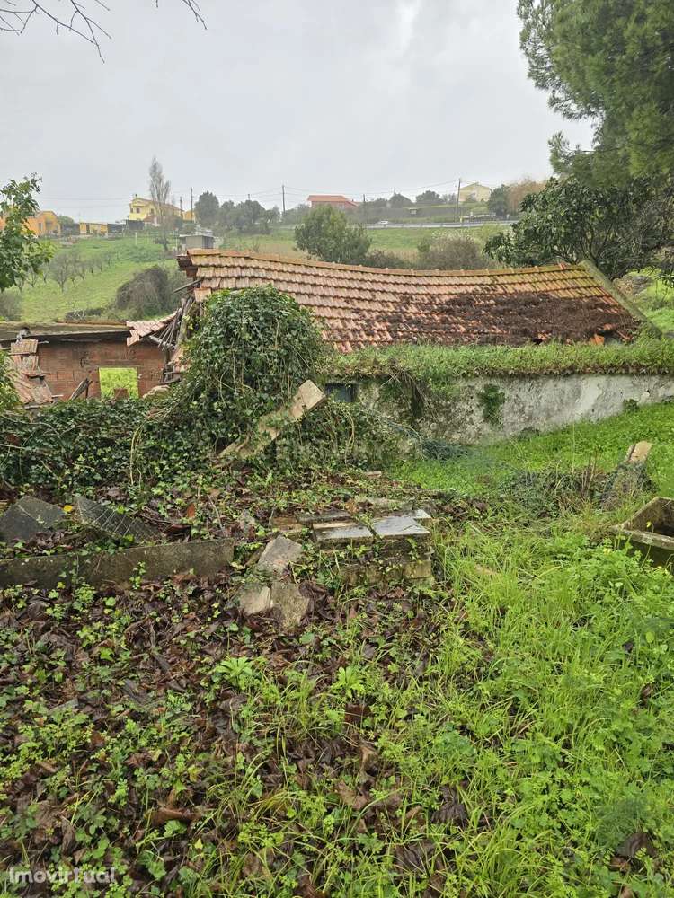 Prédio misto com um terreno rústico de 16.960 m² - Grande imagem: 2/10