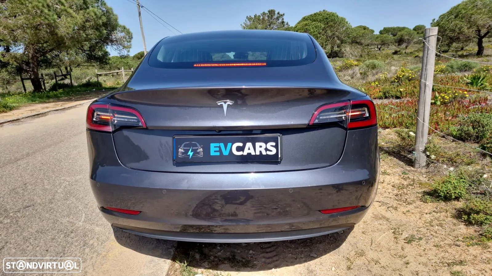 Tesla Model 3 Standard Range Plus RWD - 24