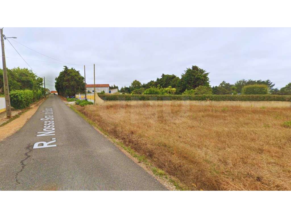 Terreno com 9760m2 - Área construção 1400 m2 - Carvalhal - Bombarral - Grande imagem: 3/10