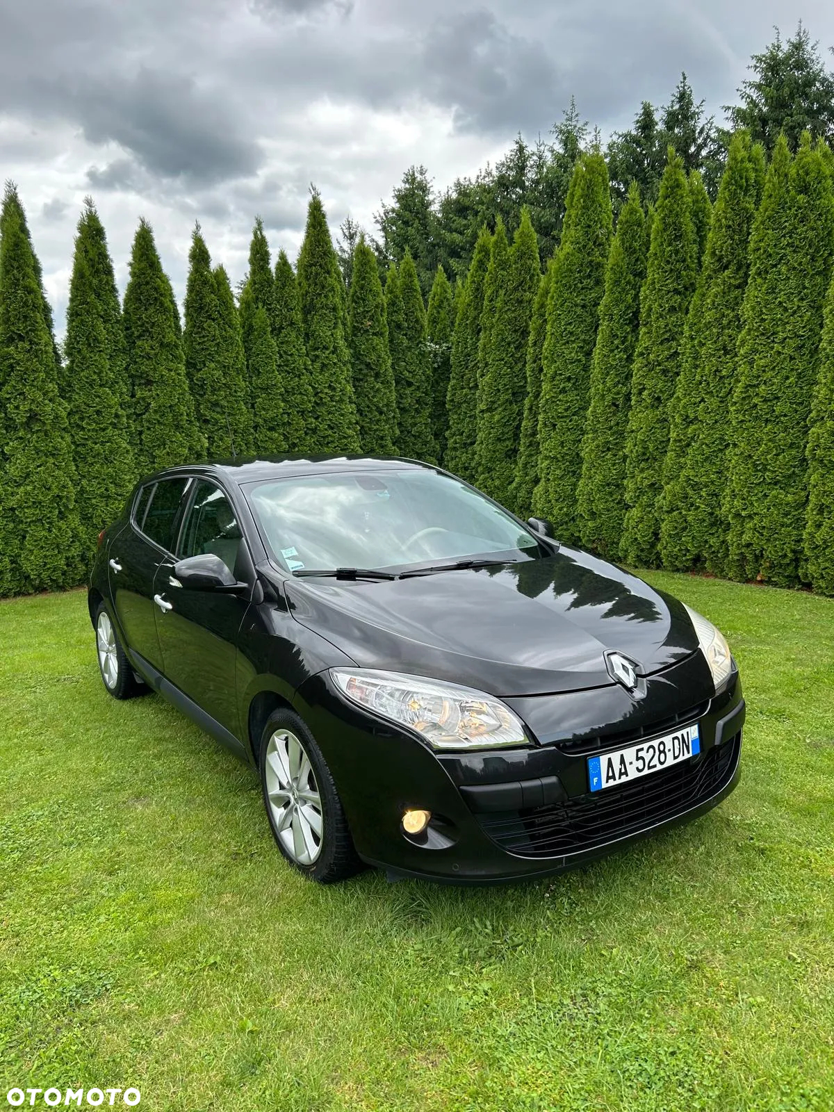 Renault Megane II 1.9 dCi Dynamique - 2