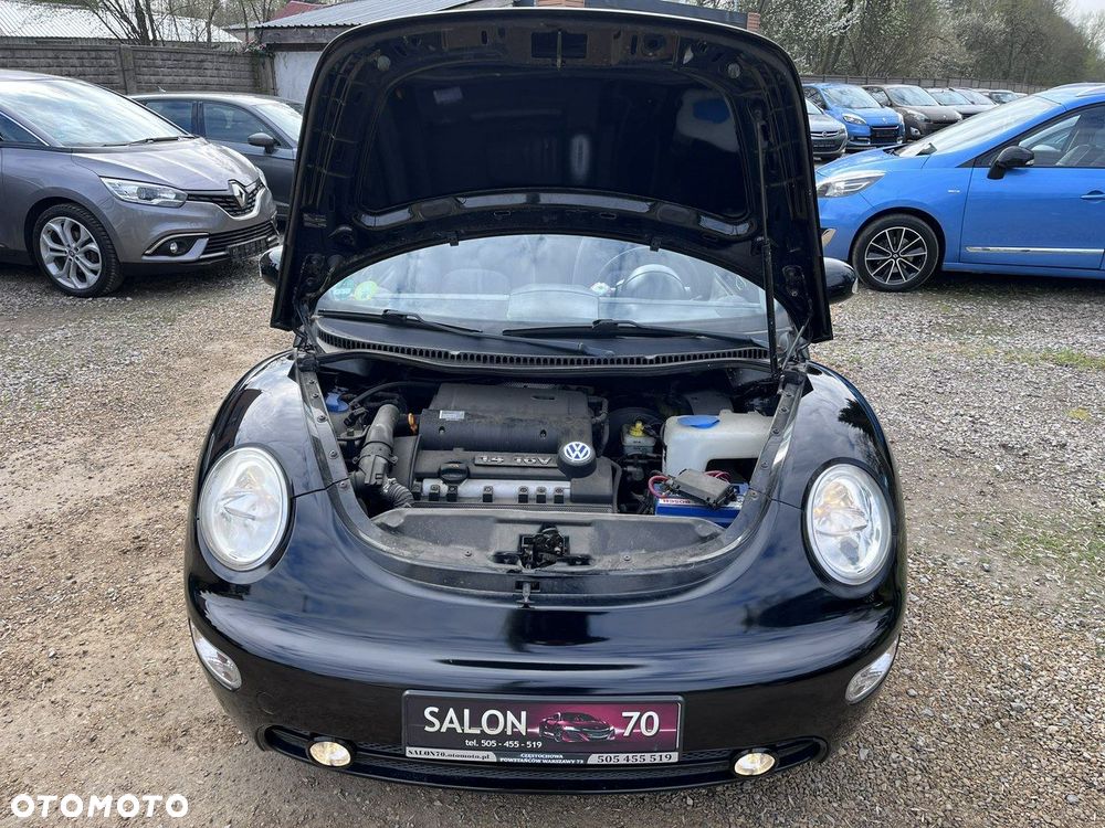 Volkswagen New Beetle - 19