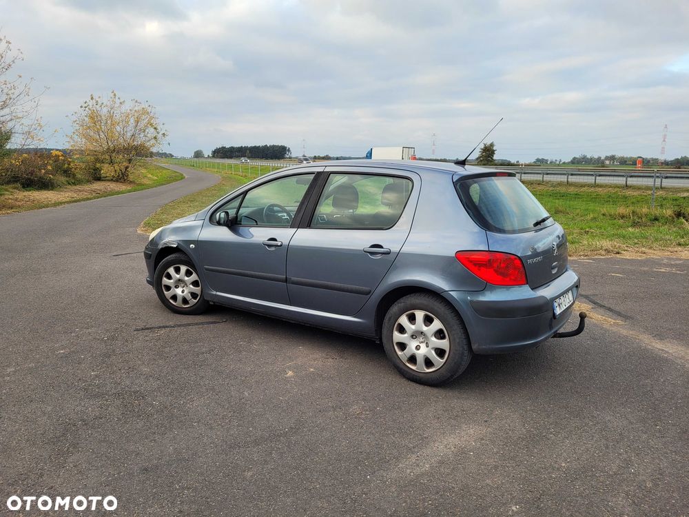 Peugeot 307 2005 photo 5