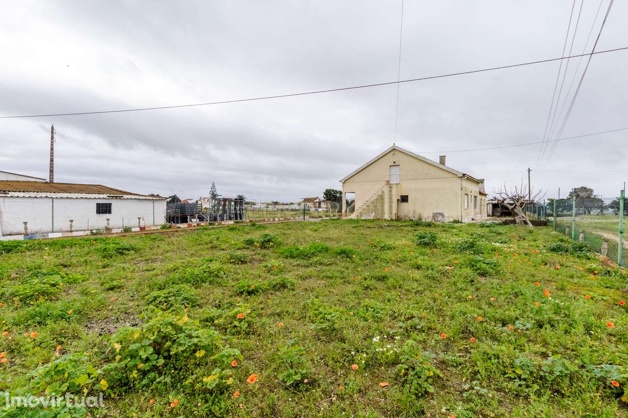 Moradia T2 para renovação | Lote 1.000 m² | São Francisco, Alcochete | - Grande imagem: 3/39