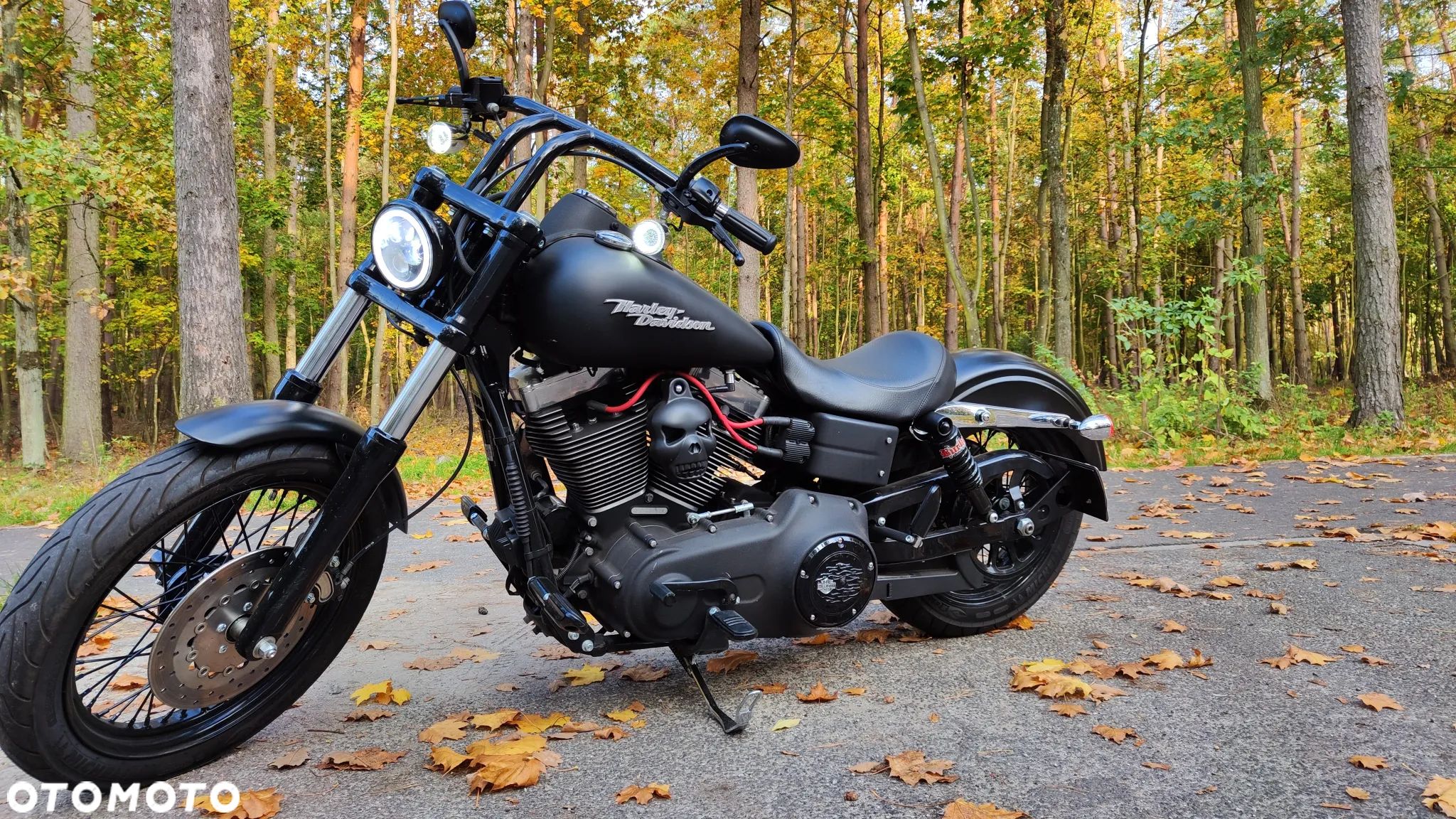 Harley-Davidson Dyna Street Bob - 1