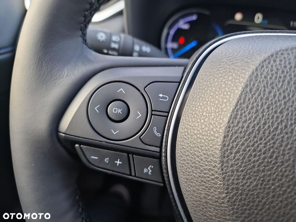 Toyota RAV4 2.5 Hybrid Selection 4x2 - 28