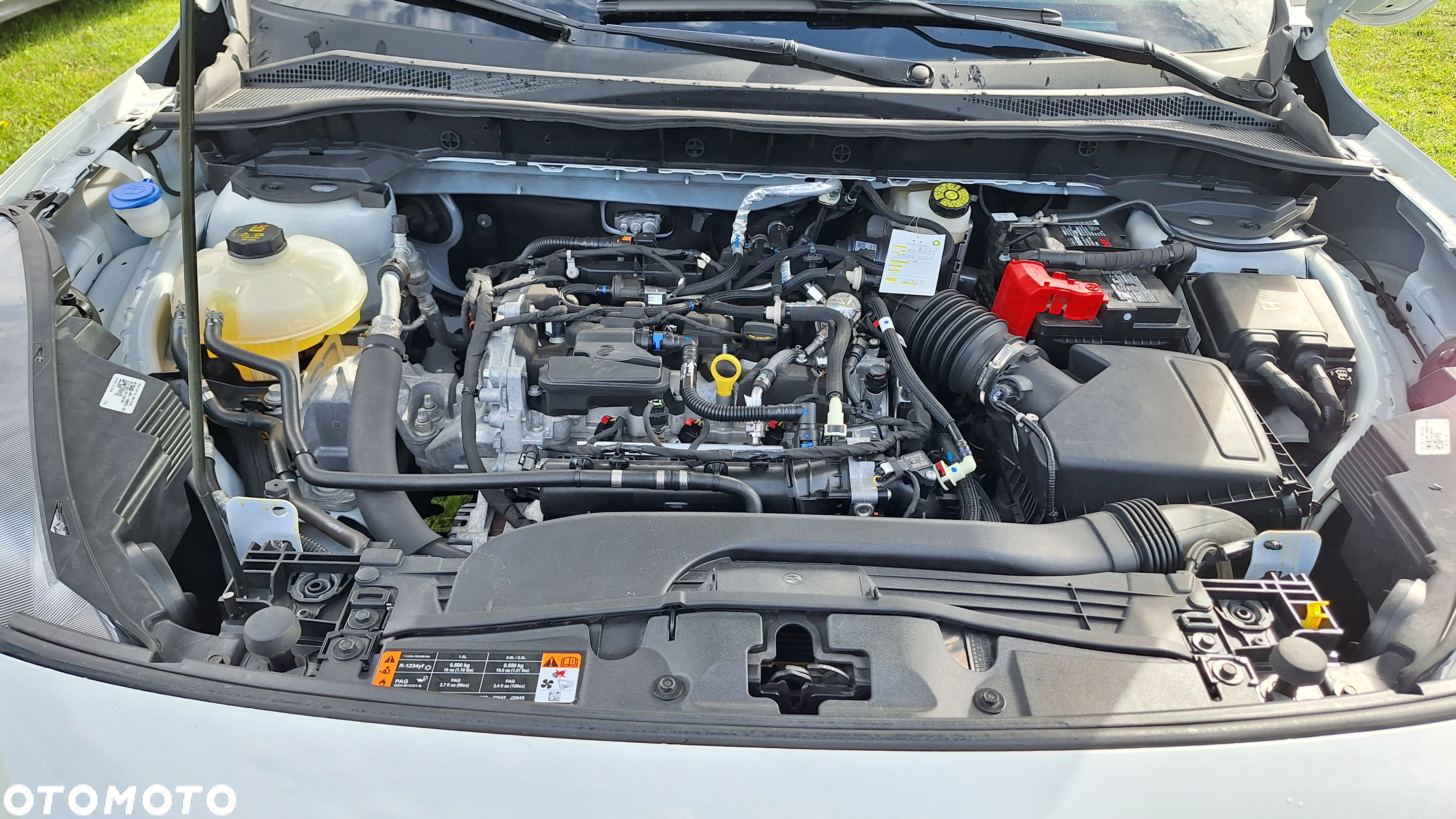 Ford Escape - 8