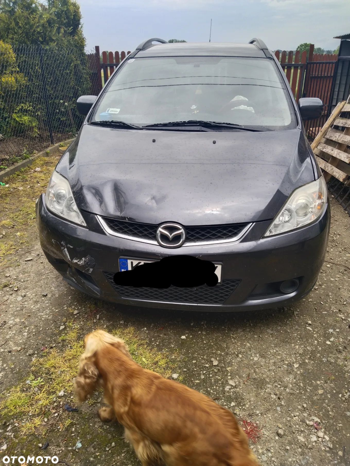 Mazda 5 2.0 CD Comfort - 1