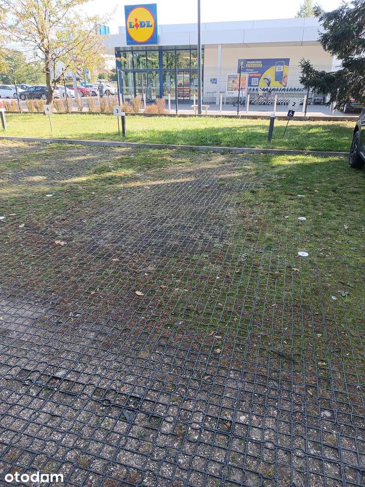 Wynajmę duże miejsce parkingowe naziemne, teren ogrodzony, Nowodworska