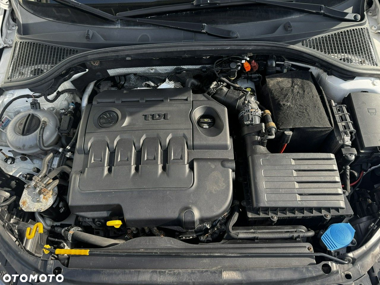 Skoda Octavia 1.6 TDI Mint - 17