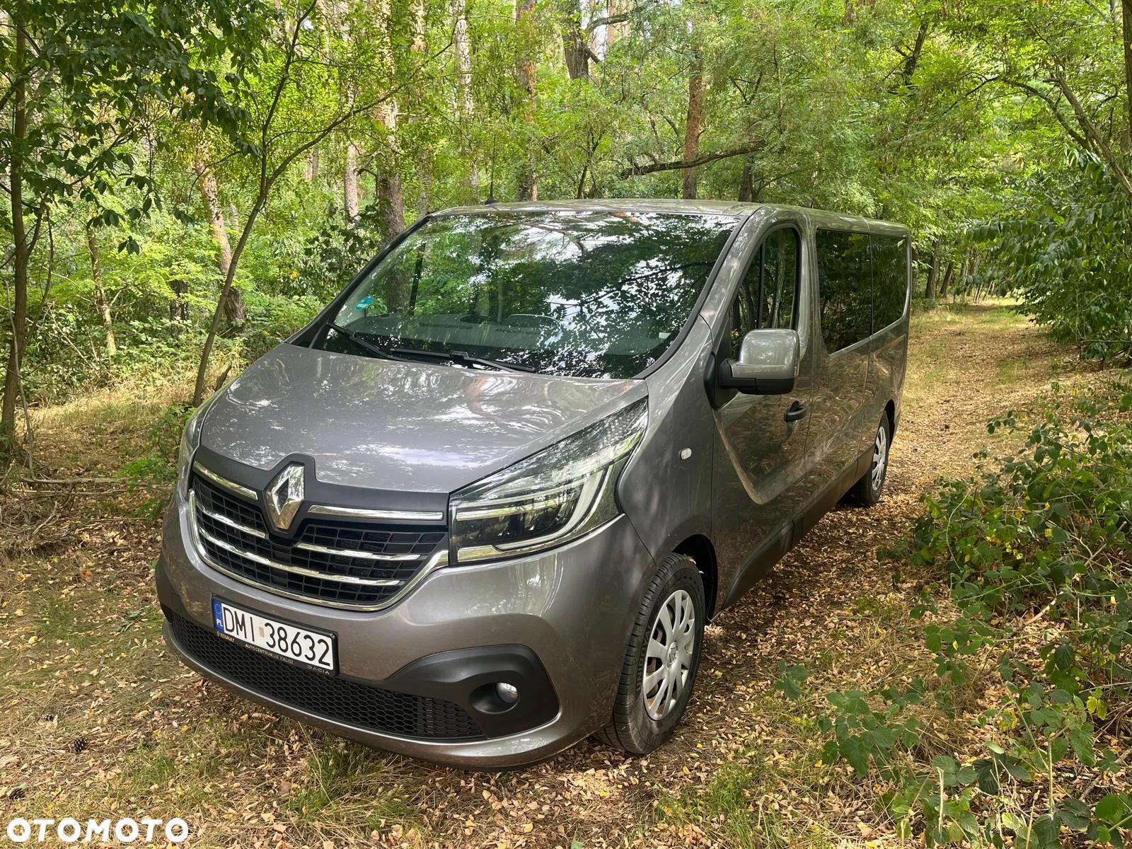 Renault Trafic - 2