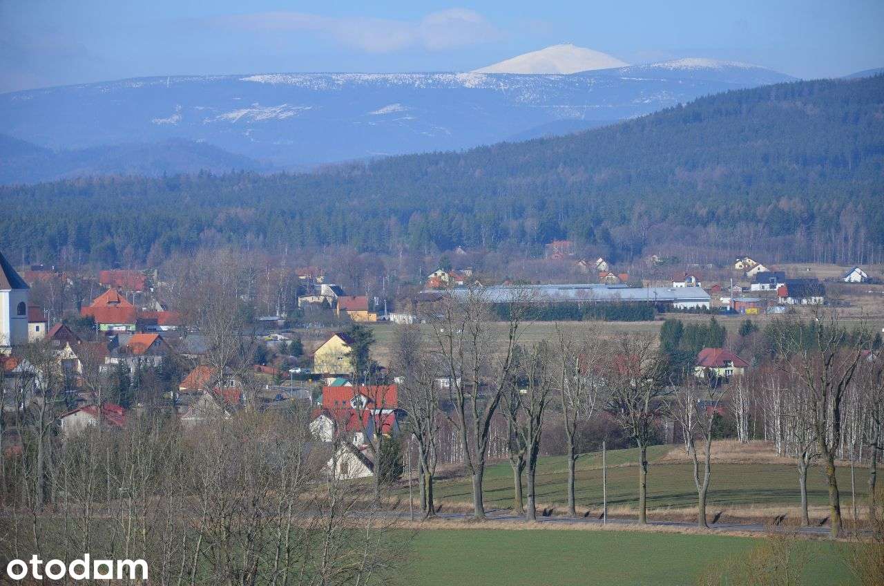 Sprzedam działkę siedliskowo-inwestycyjną - Pełny obrazek: 4/6