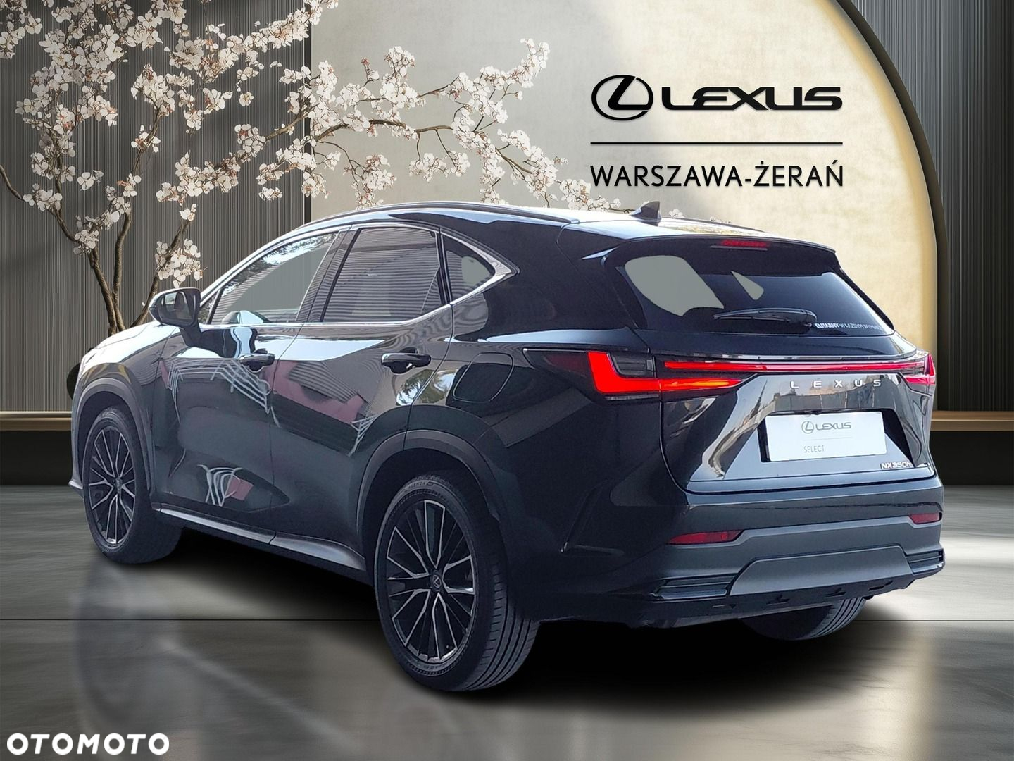 Lexus NX 350h Omotenashi AWD - 5