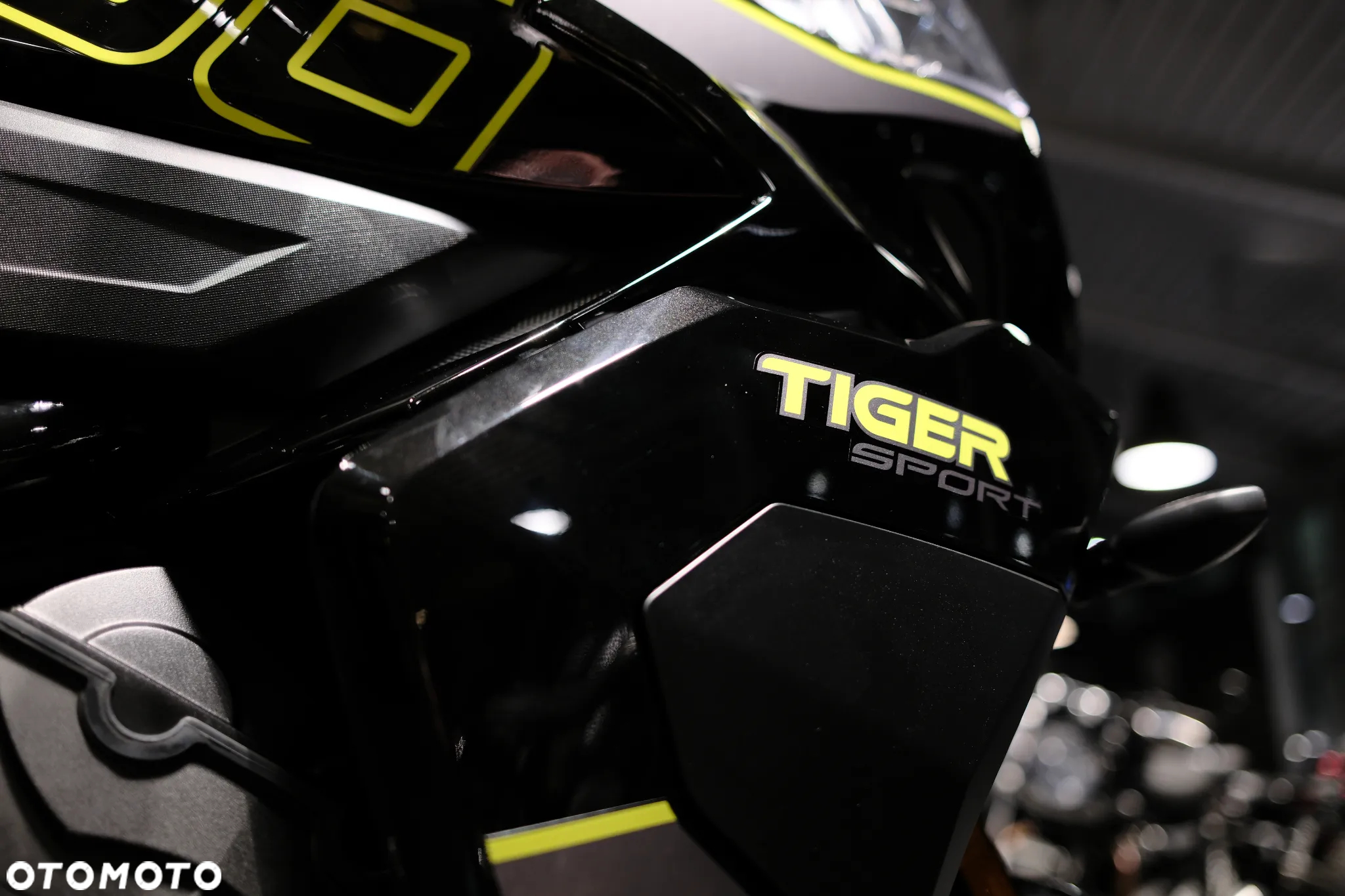 Triumph Tiger - 6
