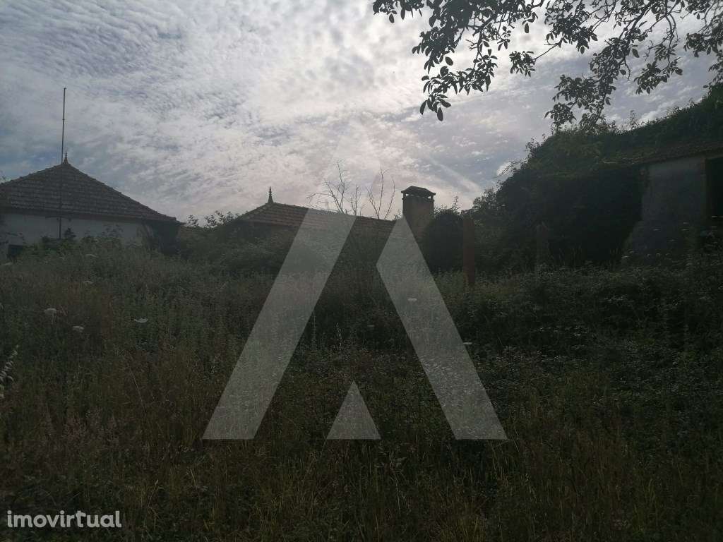 Terreno com moradia T2 para reabilitar, em Alquerubim - Grande imagem: 5/9