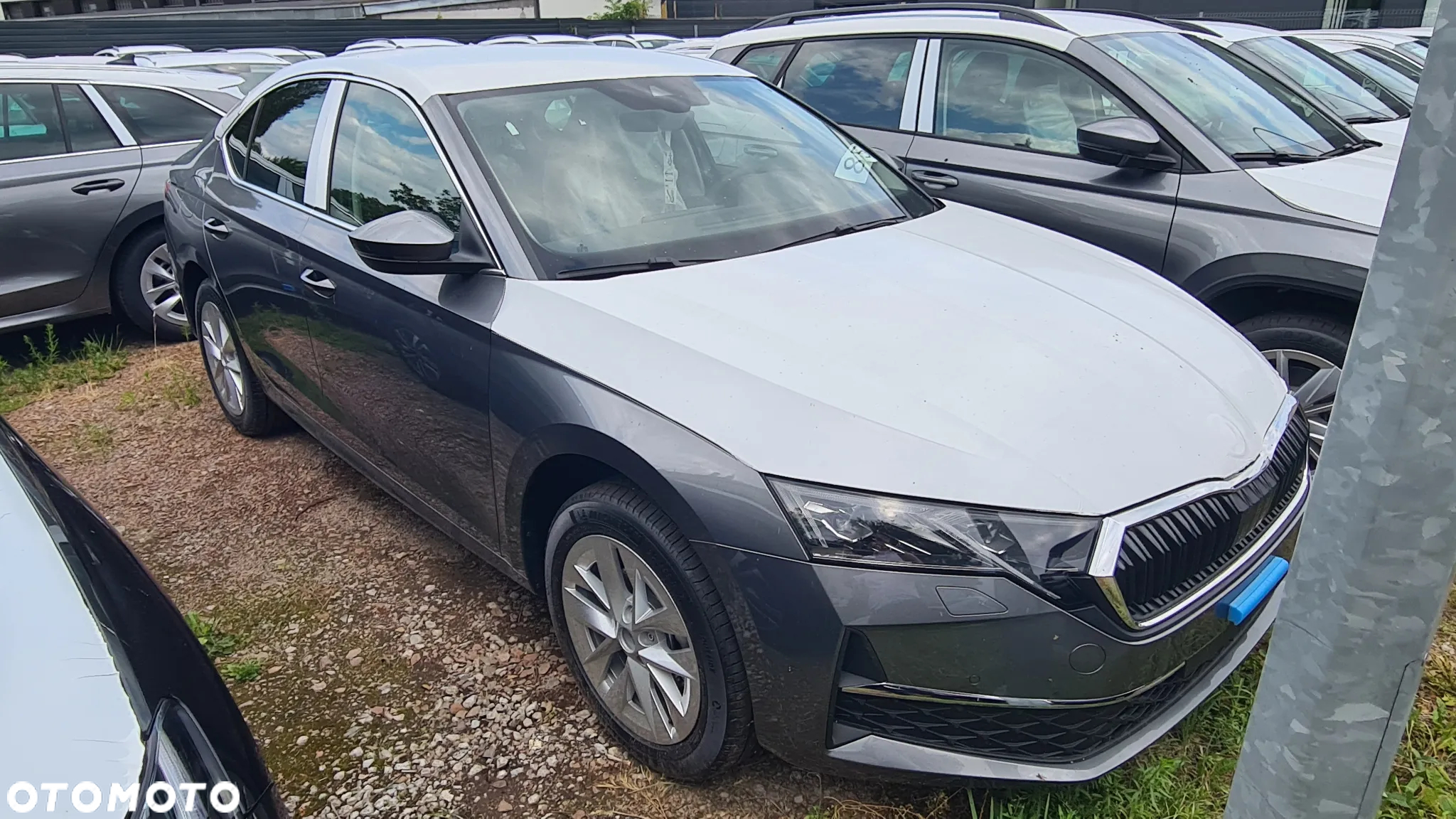 Skoda Octavia - 3