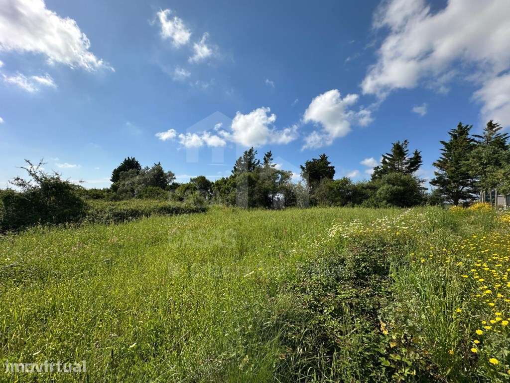 Vende Terreno - Mafra 5 km e Ericeira 10 km, A Casa das Casas - Grande imagem: 3/14