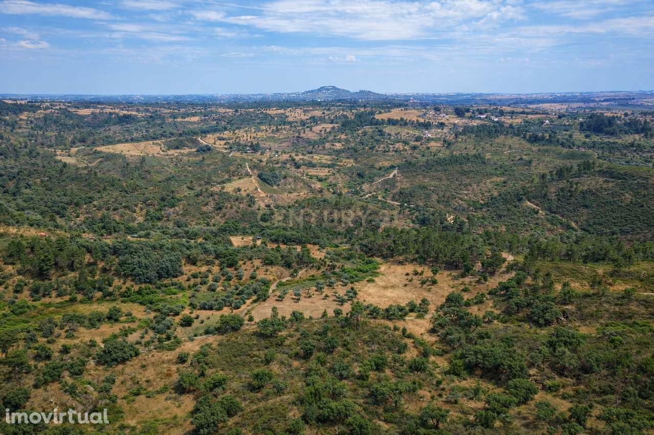 Terreno à venda em Salgueiro do Campo, Castelo Branco - Grande imagem: 5/8