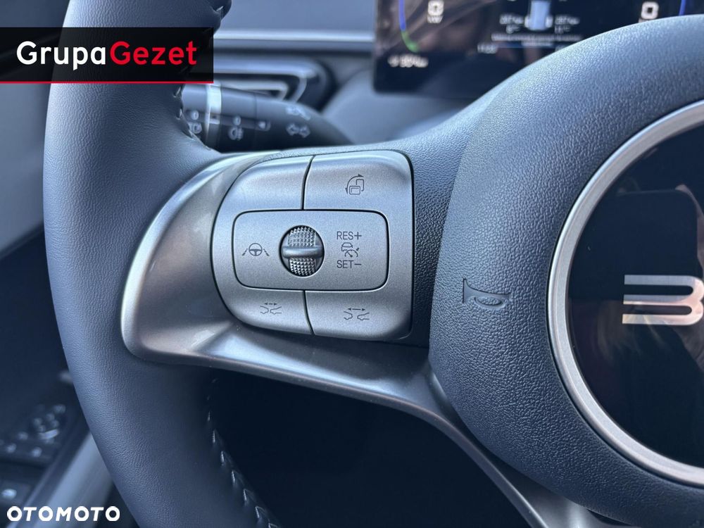 BYD Dolphin Surf - 12