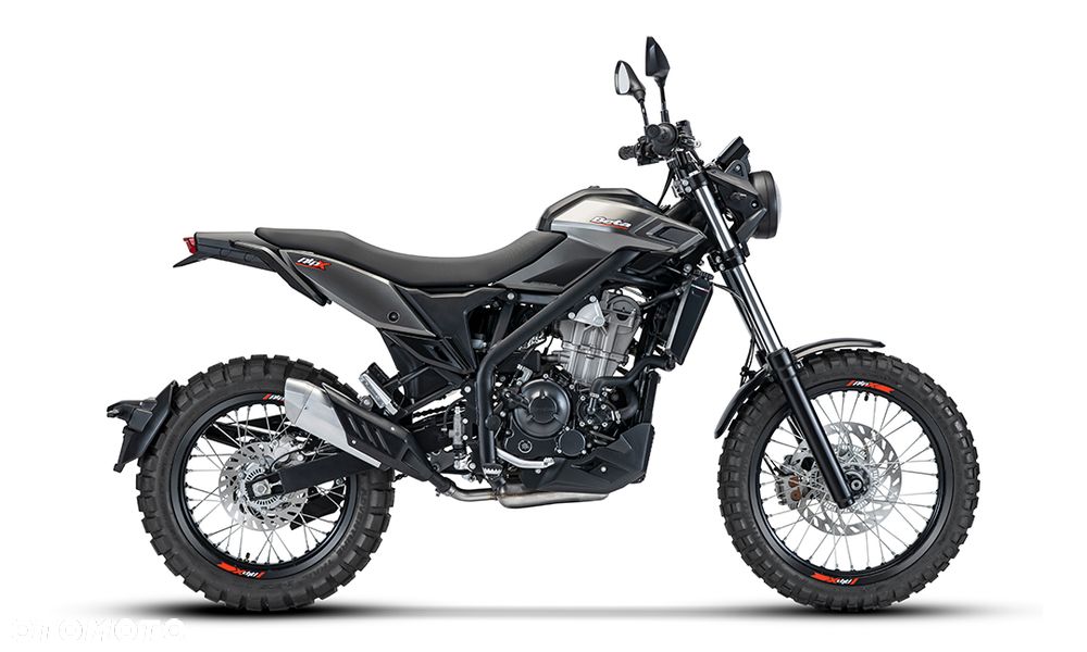 Beta Alp - 4
