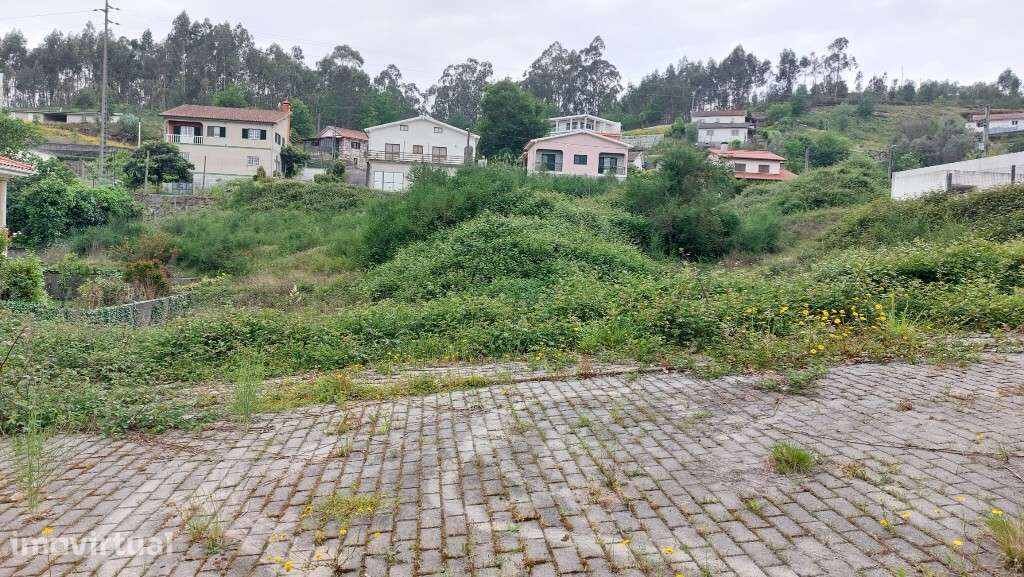 Lote - Guilhofrei - Grande imagem: 4/4
