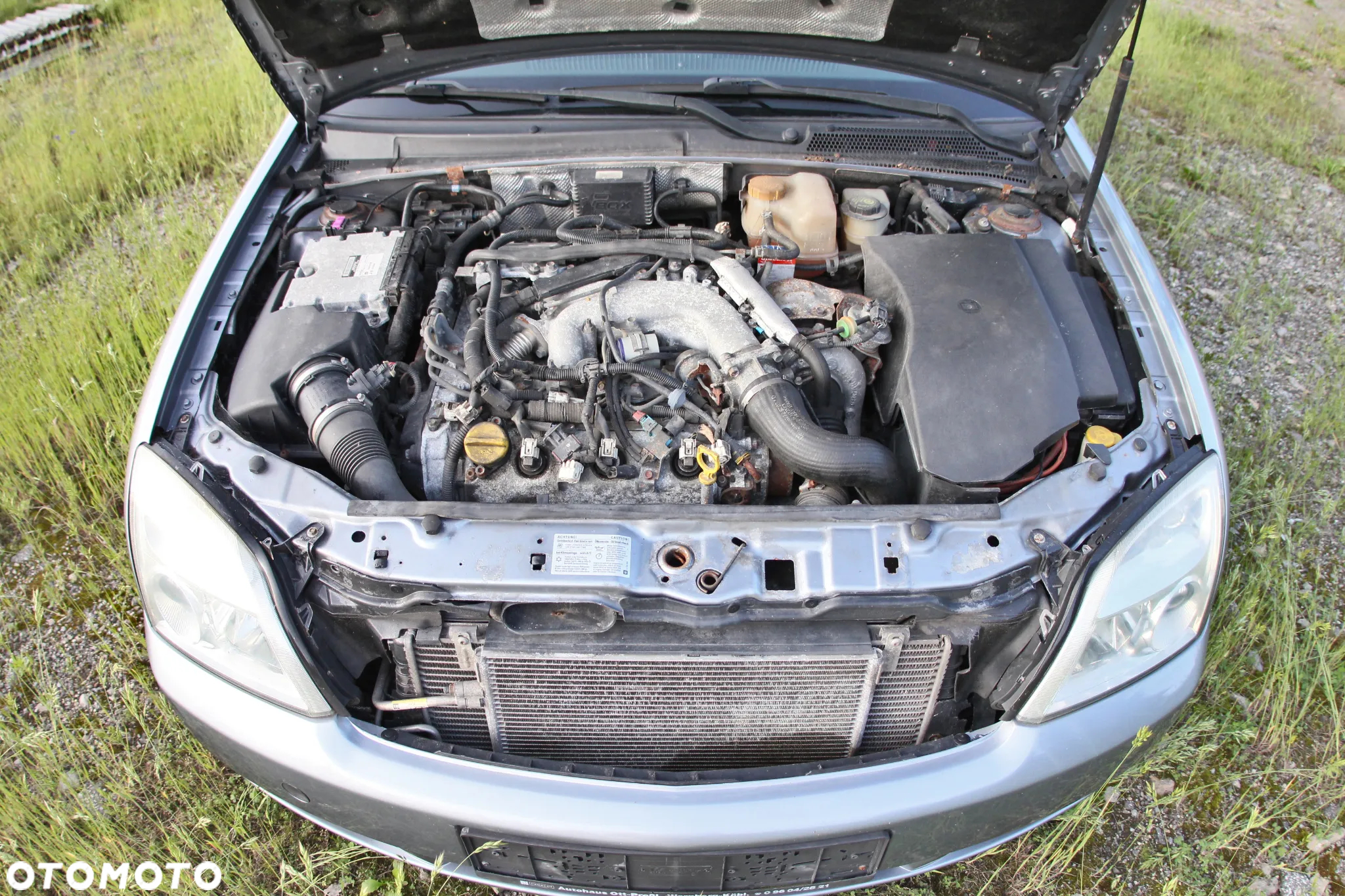 Opel Signum - 20