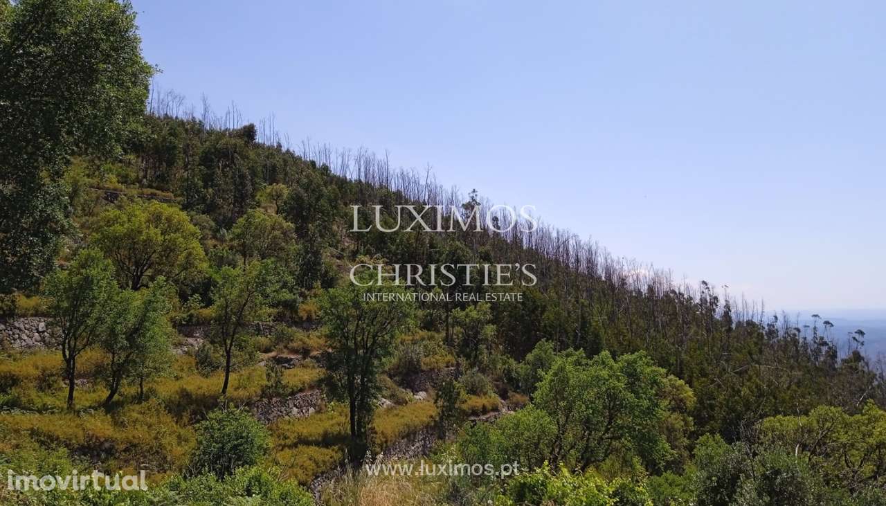 Terreno com ruína, para venda, em Monchique, Algarve - Grande imagem: 3/17